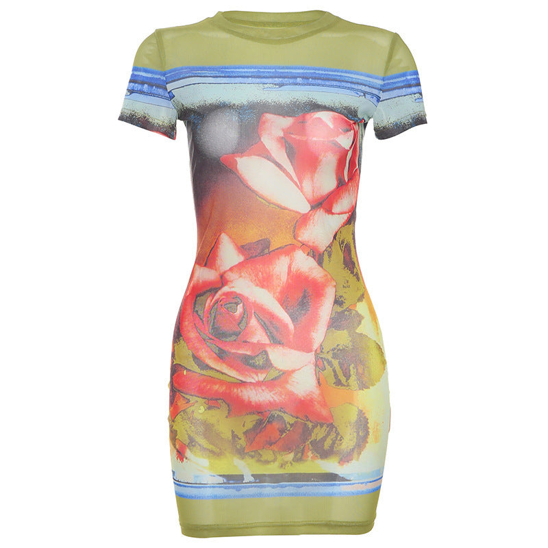 Fashion Street Digital Printing See-through Slim-fit Dress - Alsy store